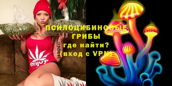 2c-b Алексин