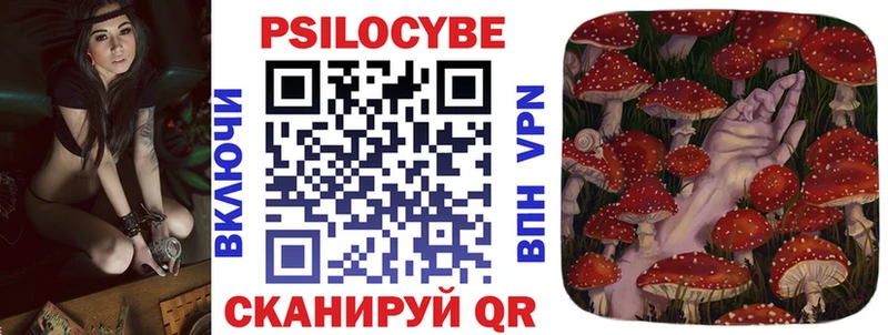 Купить  Сосновка  Псилоцибиновые грибы Psilocybe 