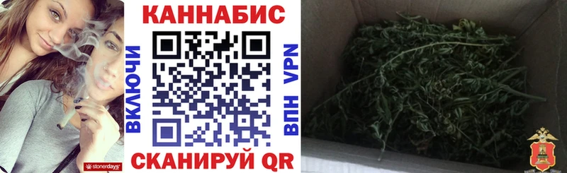 Купить закладки  Сосновка  Бошки марихуана White Widow 